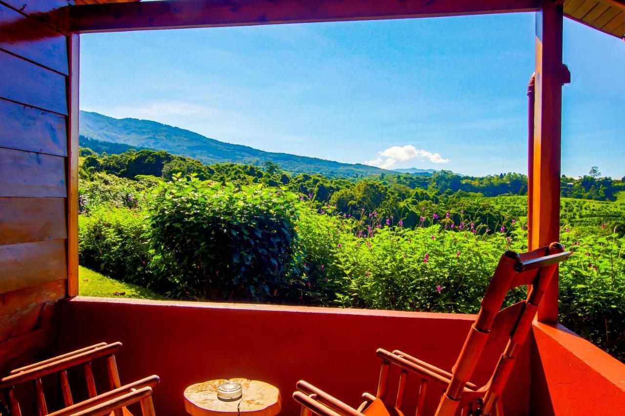 Hotel Mango Valley Grecia Dış mekan fotoğraf